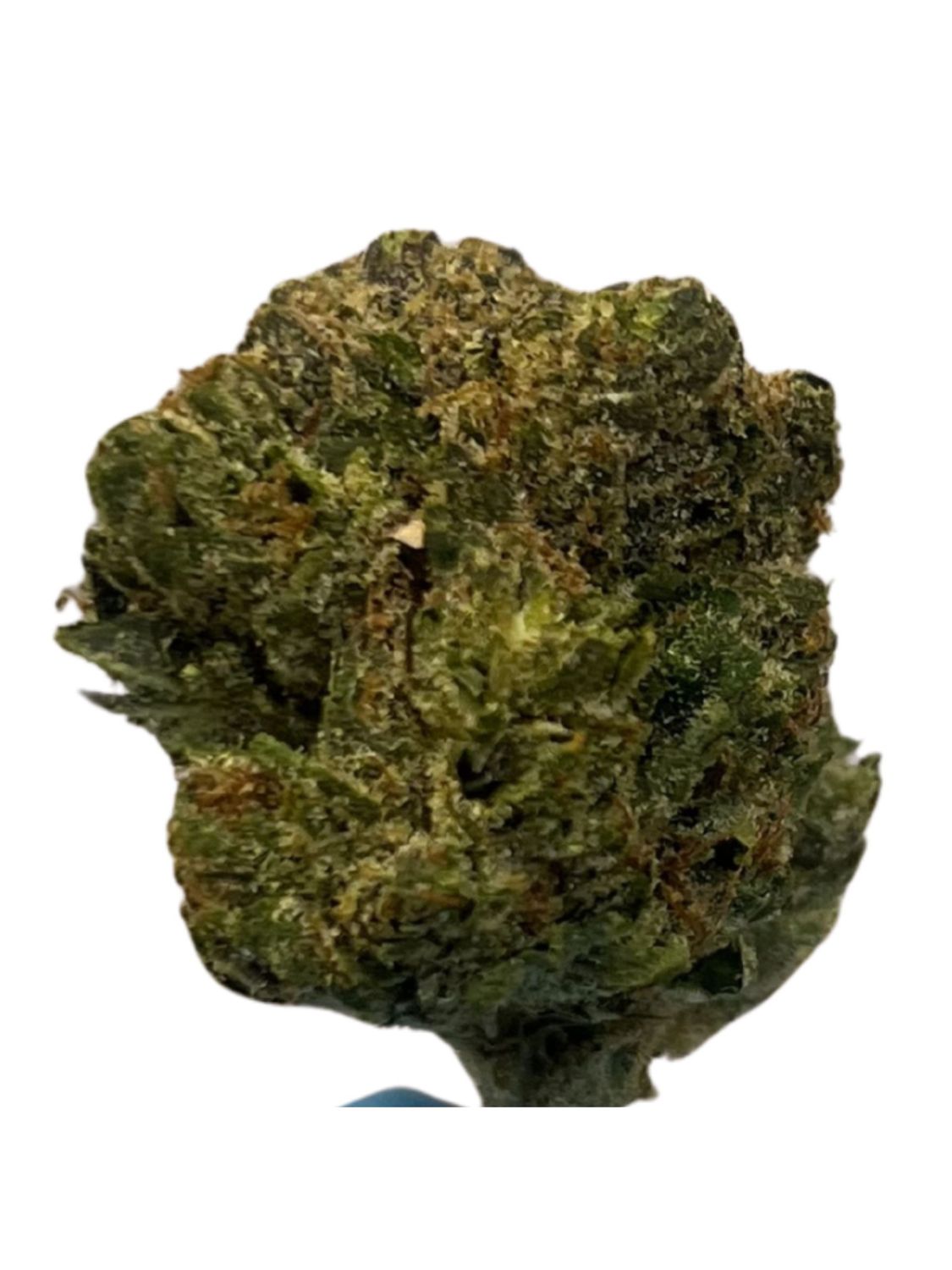 Beacon PK 22/1 Pink Kush