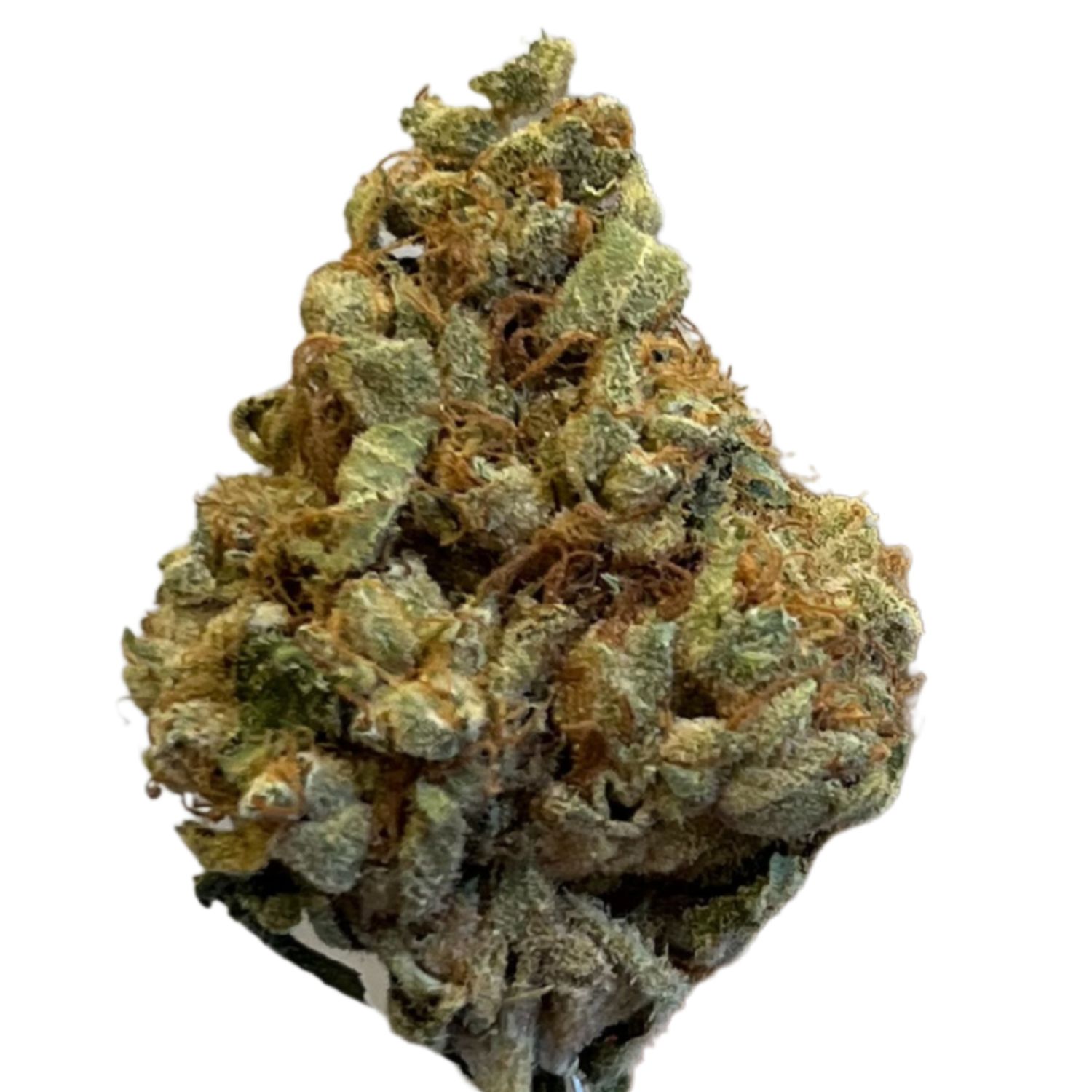 Drapalin 31/1 Da Fux Gary Payton x Gushers