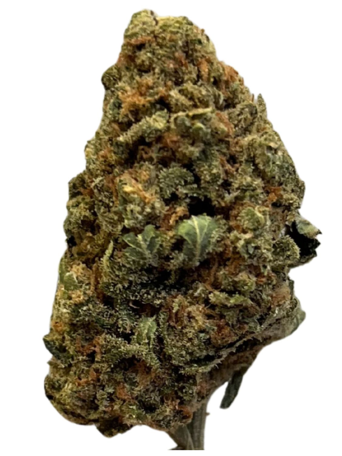 MediproCan Lunaris 23/1 Legend OG