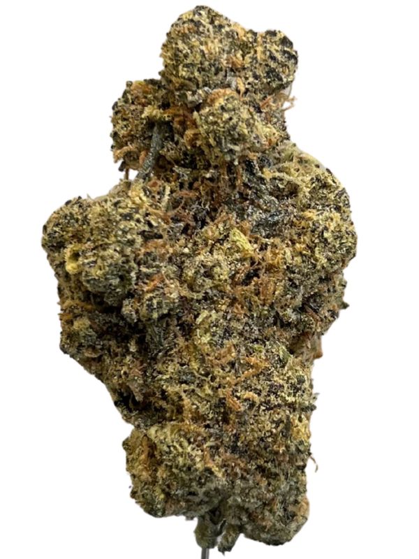 Organic Sweetgrass MCC 21/1 Mint Chocolate Chips Organic Sweetgrass MCC 21/1 Mint Chocolate Chips