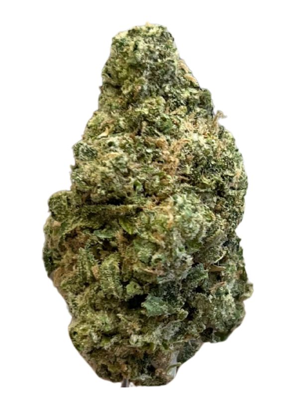 MC REGULAR DROP 25/1 GMO x Jet Fuel Gelato MC REGULAR DROP 25/1 GMO x Jet Fuel Gelato