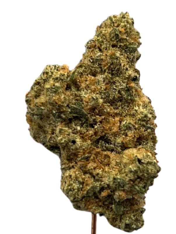 Oceanic BC 25/1 Black Cookies Oceanic BC 25/1 Black Cookies