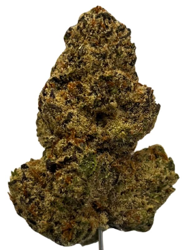 NICE 18/1 MM Mango Mints NICE 18/1 MM Mango Mints