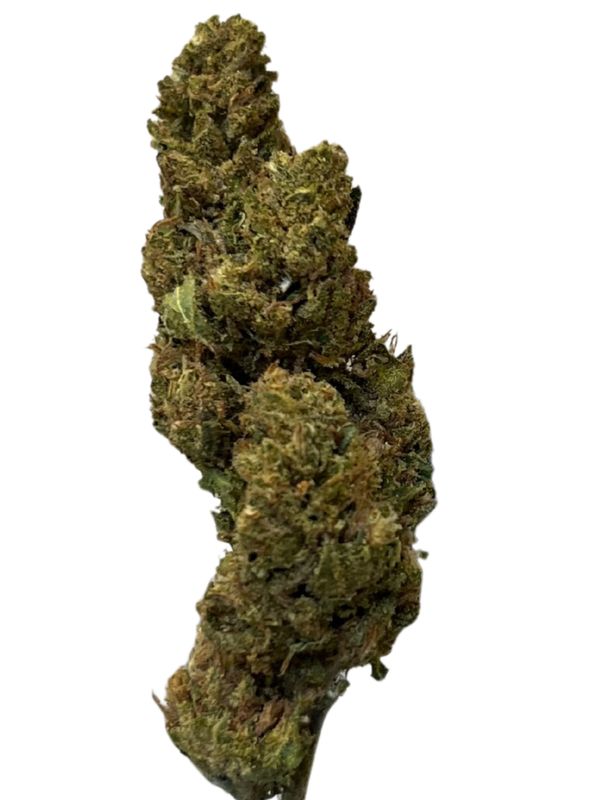 Herbasana Salsa Lover 20/1 Cosmic Soda Herbasana Salsa Lover 20/1 Cosmic Soda