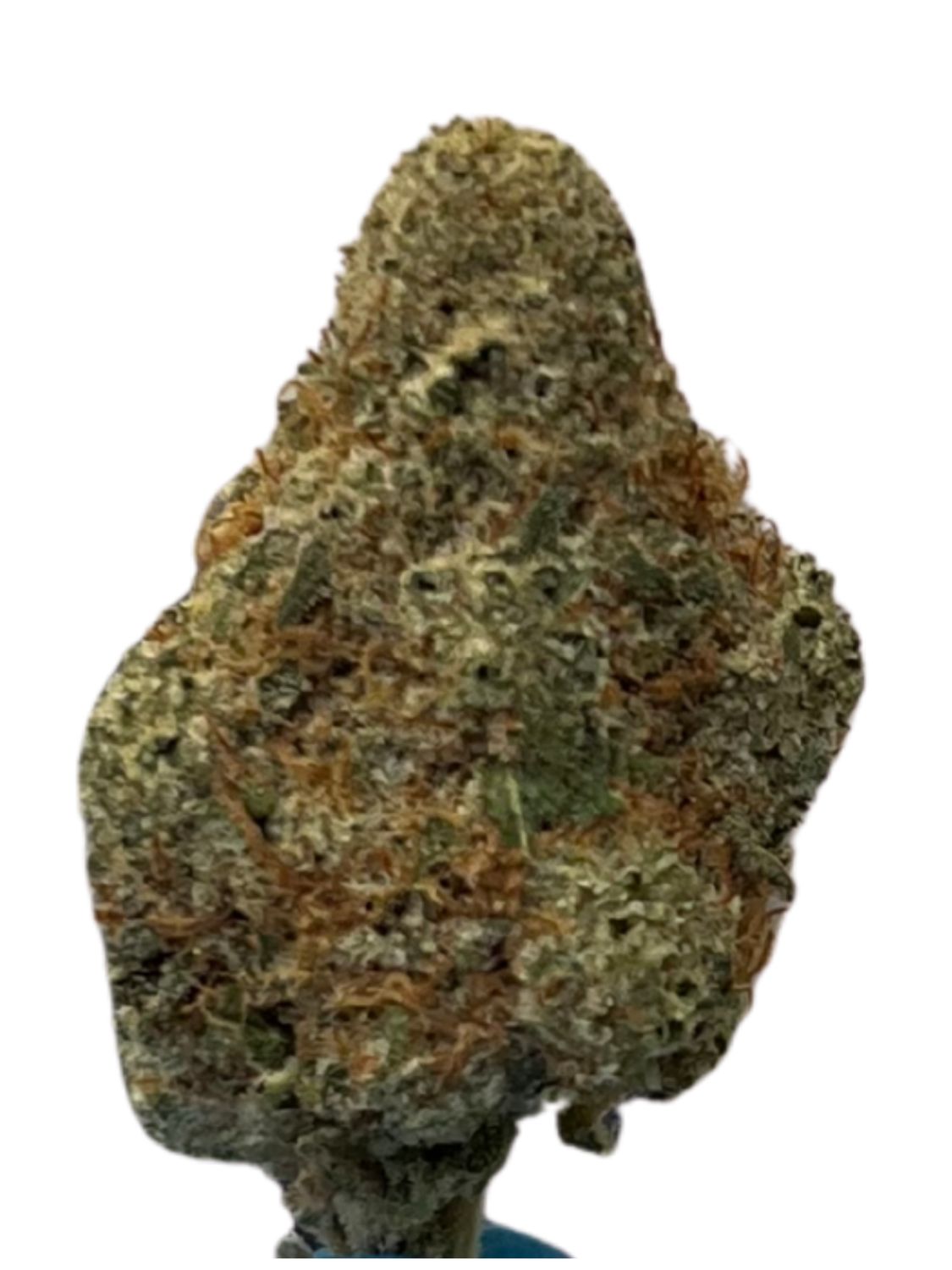 Barongo 26/1 FB Frosted Sweet Tooth