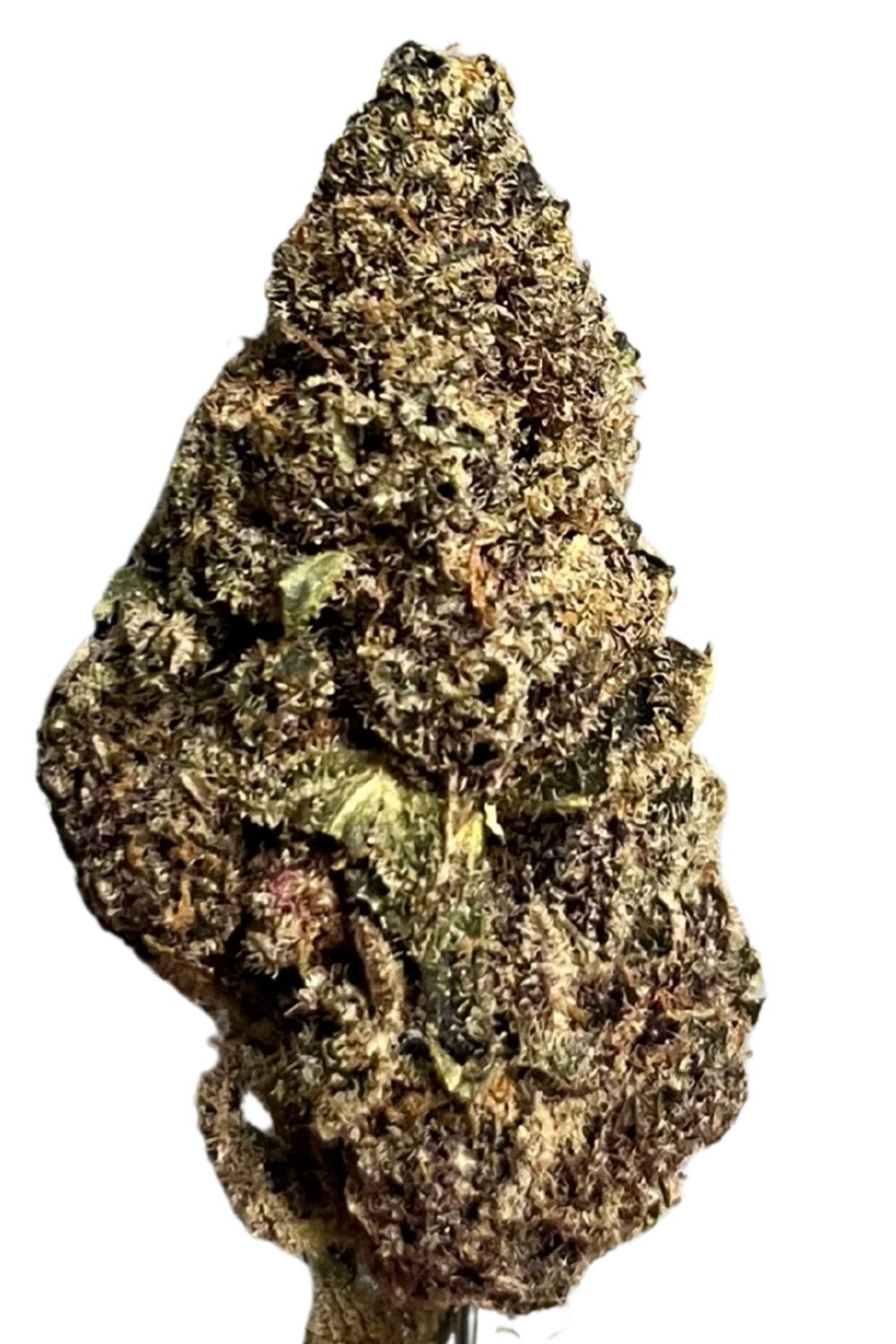 Bathera THC Akut OHS 20/1 NP Neon Princess