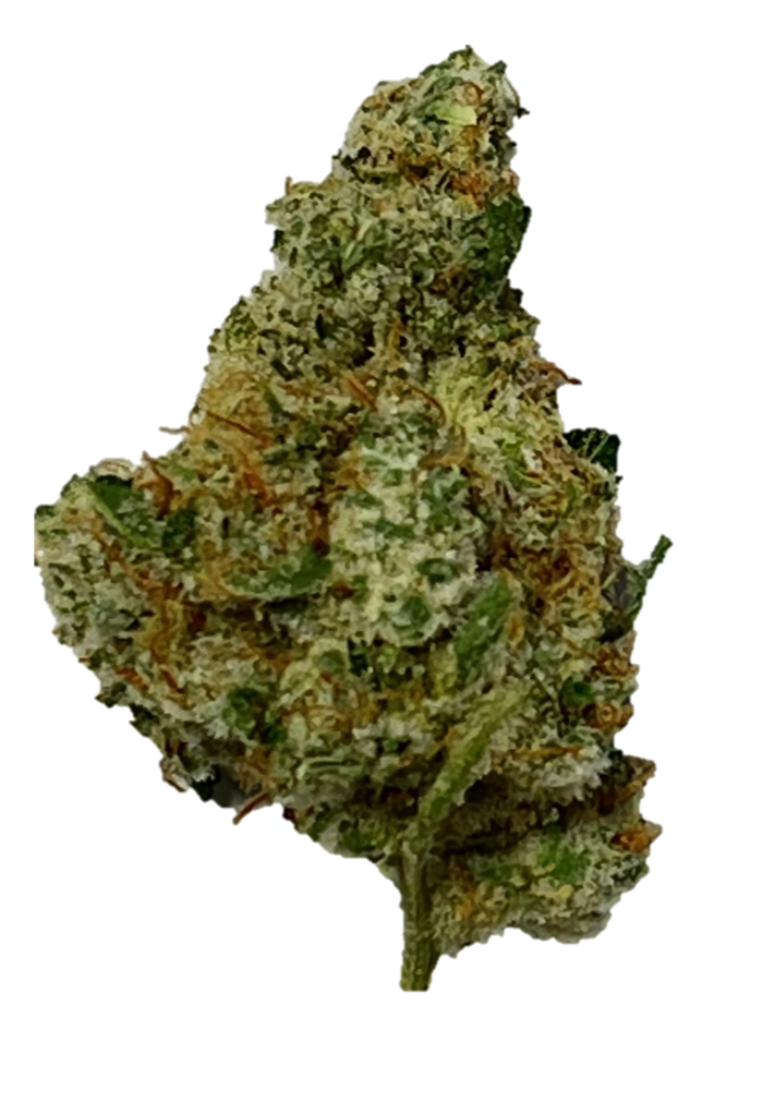 420 Evolution ICC 27/1 Ice Cream Cake x Kush Mints 420 Evolution ICC 27/1 Ice Cream Cake x Kush Mints