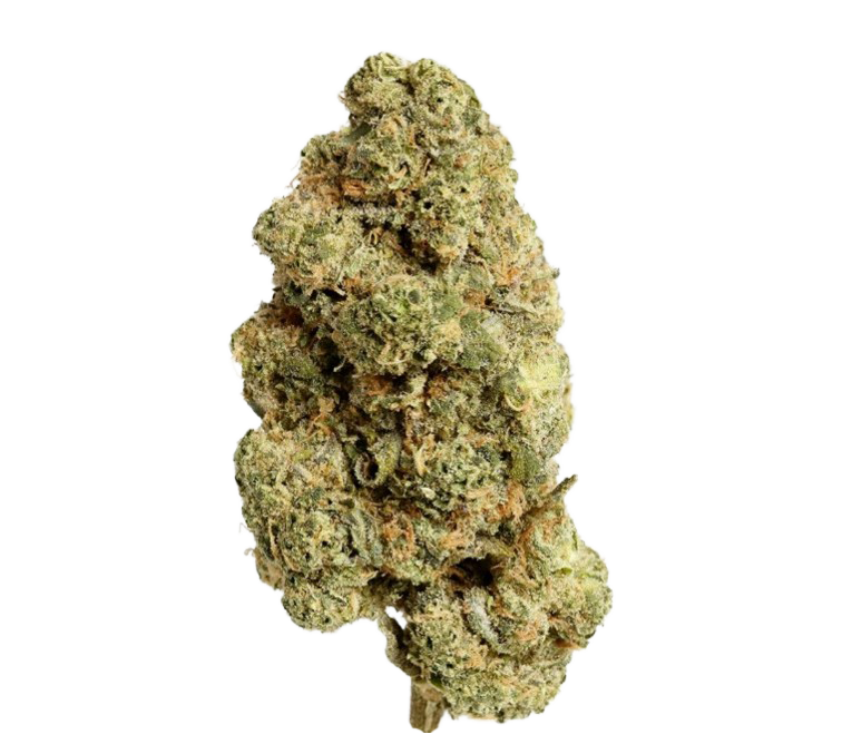 Care Cannabisflower GDF THC 18/1 Gushers Da Funk (First Class Funk x White Runtz) Care Cannabisflower GDF THC 18/1 Gushers Da Funk (First Class Funk x White Runtz)
