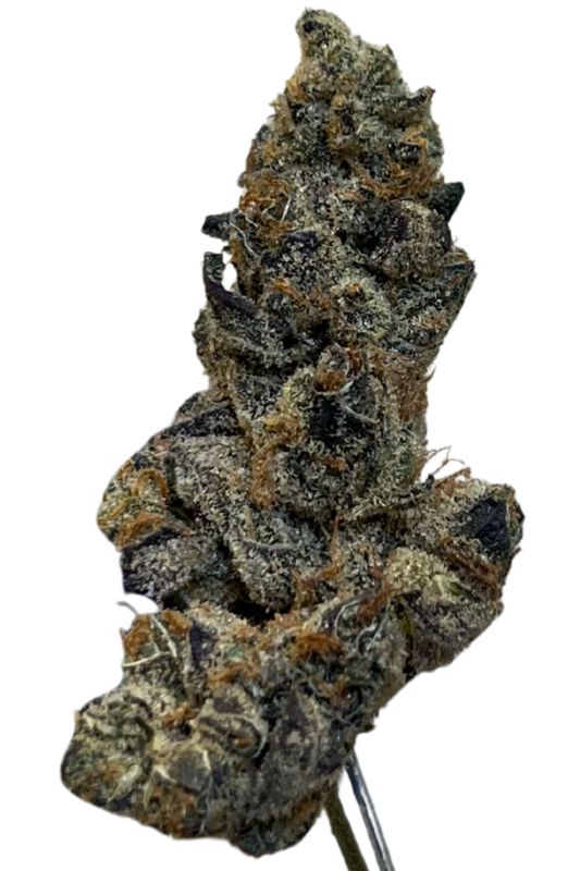 NICE 32/1 CHM GMO Chem Mintz