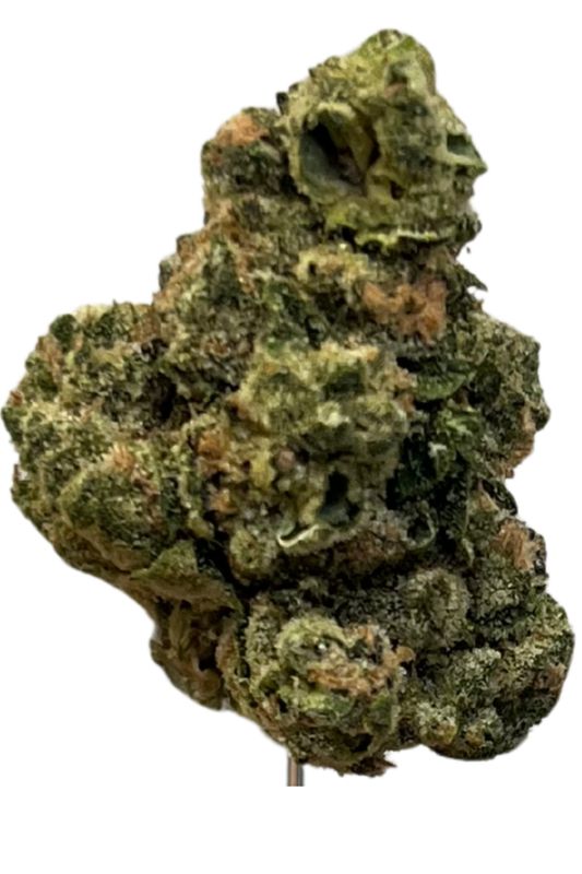 Daily Special 25/1 GMO Daily Special 25/1 GMO