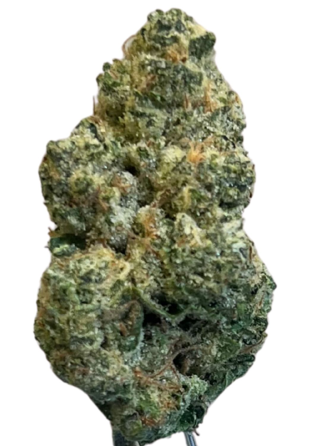 Slouu 33/1 COZ CA Cookies OZ