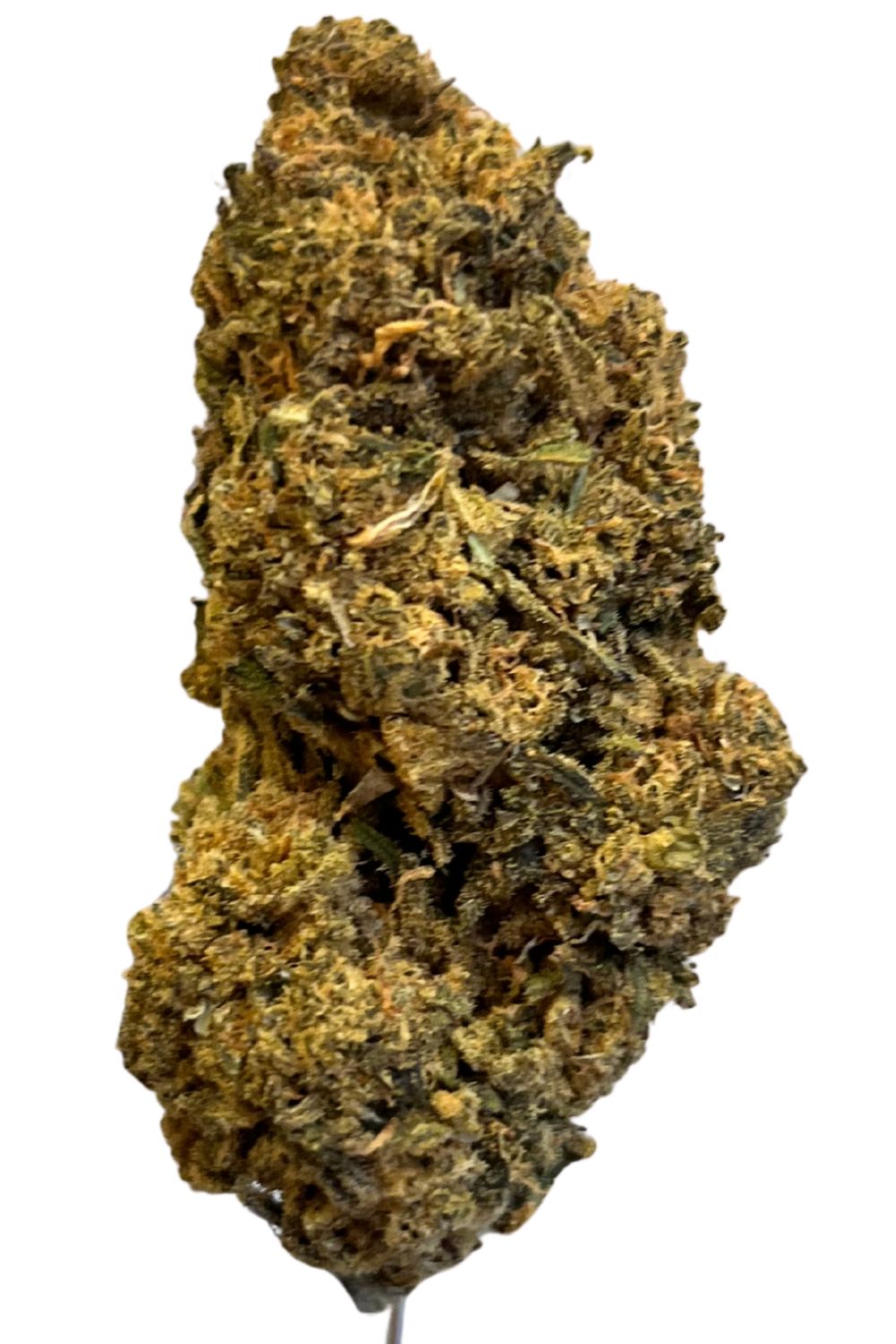 Gestion Cannabec MH 20/1 Mac Herer