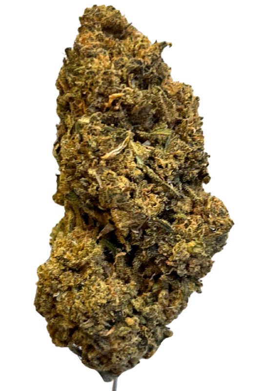 Gestion Cannabec MH 20/1 Mac Herer