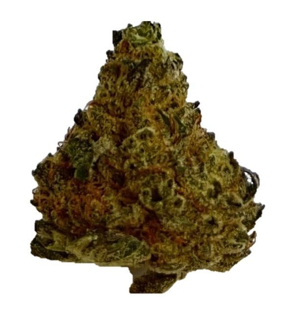 NICE 24/1 HBR Hashburger