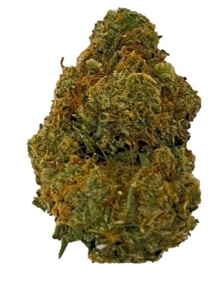 Bathera 25/1 BZ Blue Z