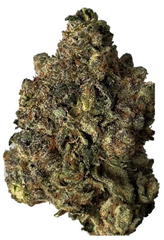 Bathera 35/1 PP Polar Pop