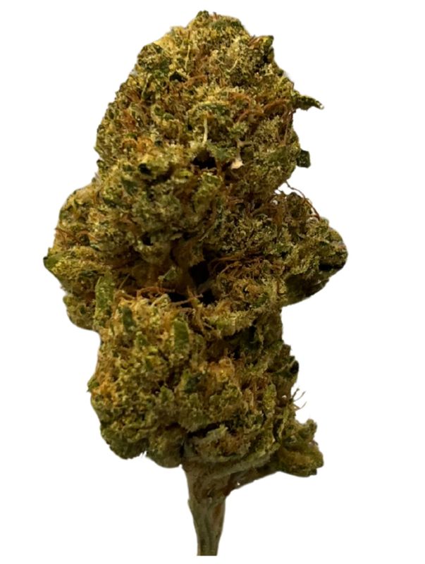 NICE 22/1 WCA Wedding Cake