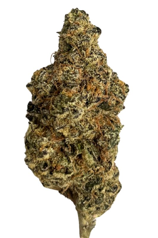 Bathera THC akut OHS 25/1 Sherb Fritter Bathera THC akut OHS 25/1 Sherb Fritter