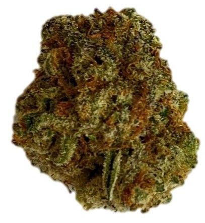 TRUU HS 21/1 Rainbow Dawg