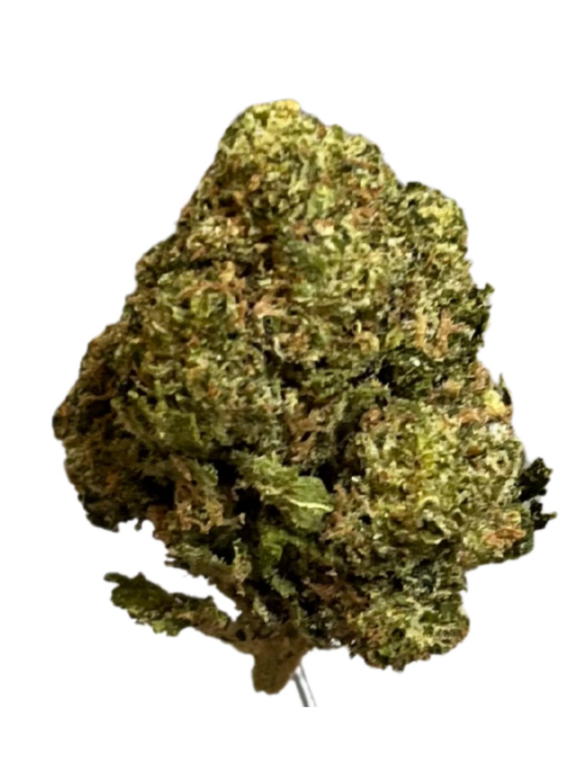 Canopy JHA 21/1 Jack Haze