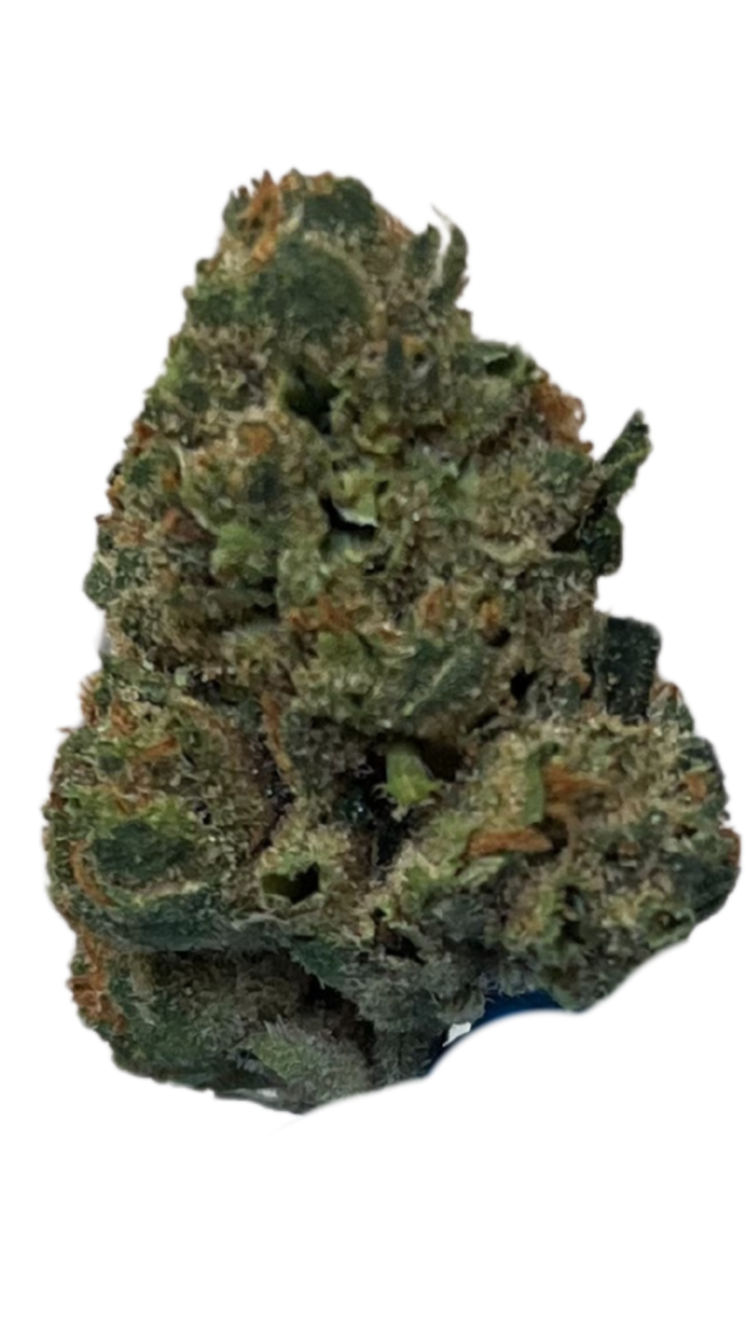 Pedanios 31/1 PND-CA Pink Diesel