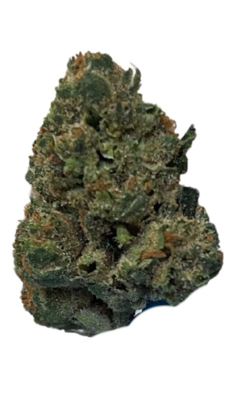 Pedanios 31/1 PND-CA Pink Diesel