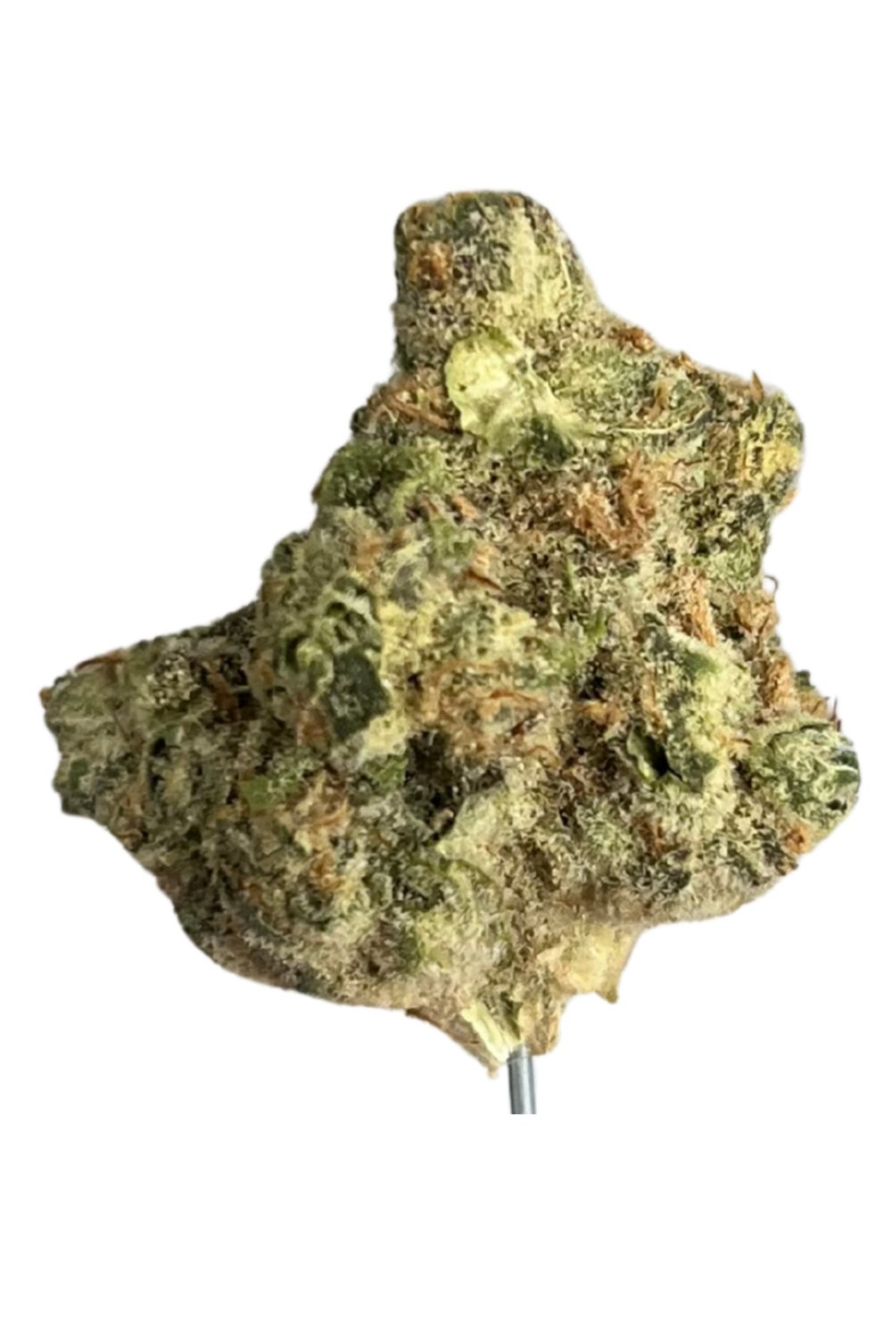 Bathera THC akut MG 24/1 Black Cherry Punch