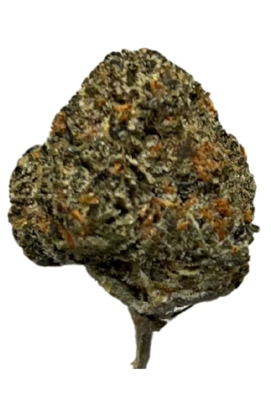 slouu 22/1 BAG CA Berry Artic Gelato