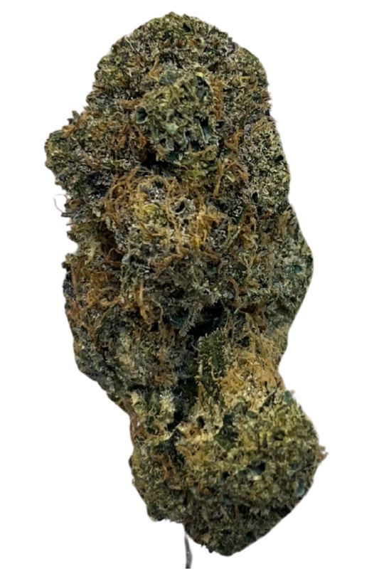 NICE 18/1 SER Seriotica