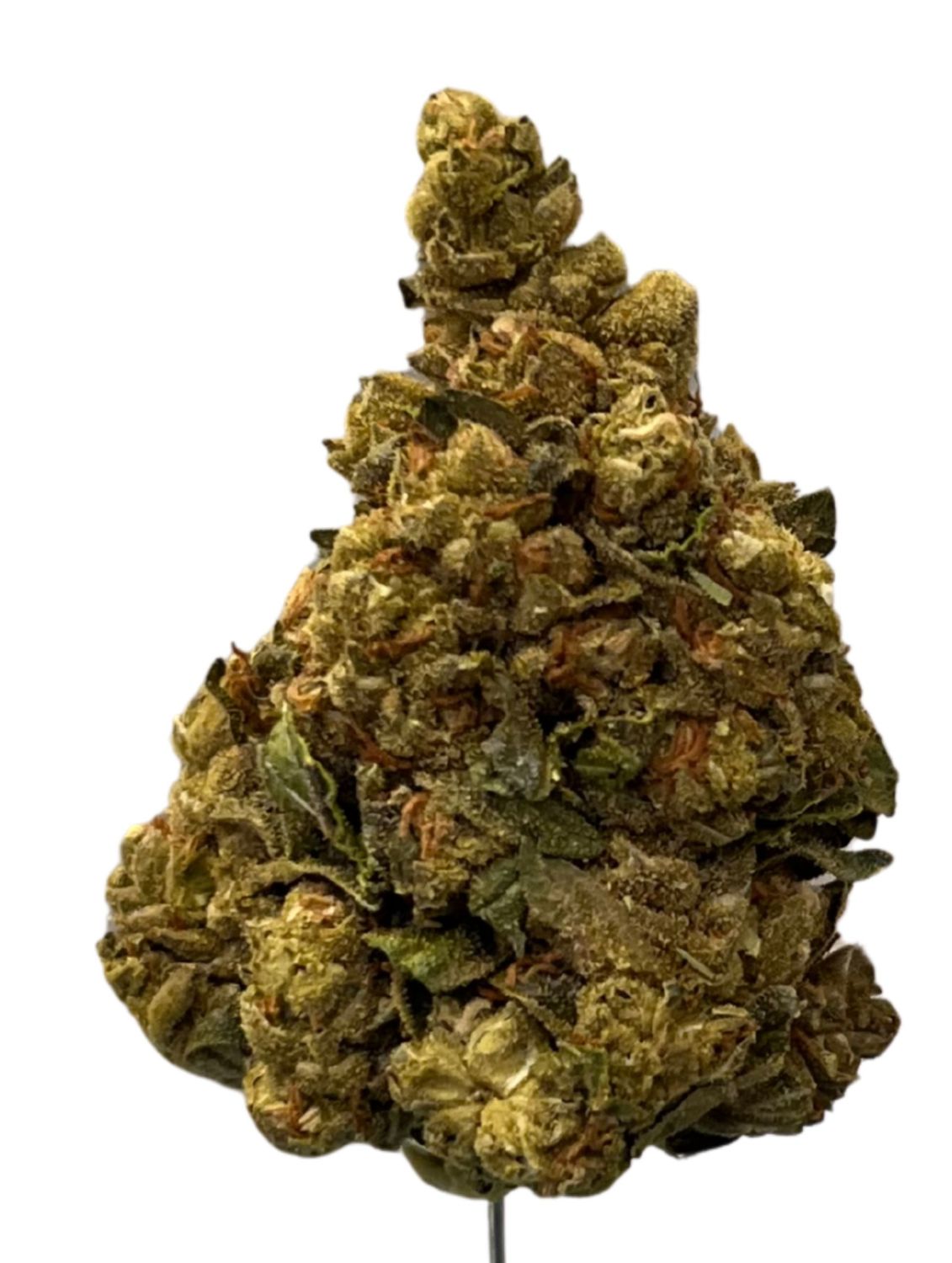 DrWatson 26 TMC Top Mints Cake