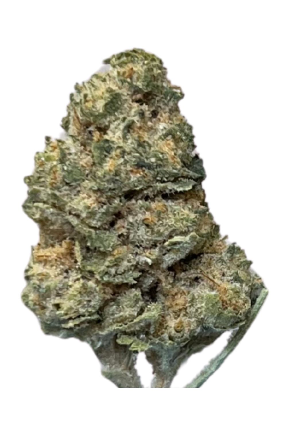 Slouu 22/1 PS3 CA SBS Sugar Berry Sorbet (eine neue Marke von Enua)