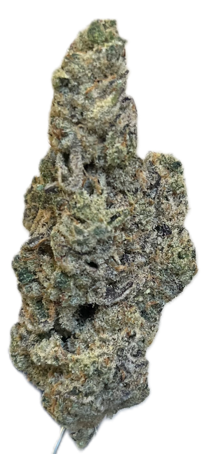 Bathera 33/1 CA GB2 Garlic Breath 2.0 Bathera 33/1 CA GB2 Garlic Breath 2.0