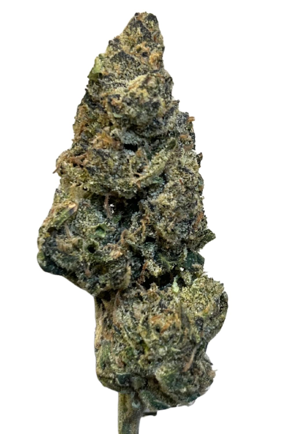 NICE 26/1 LED Legendary Larry NICE 26/1 LED Legendary Larry