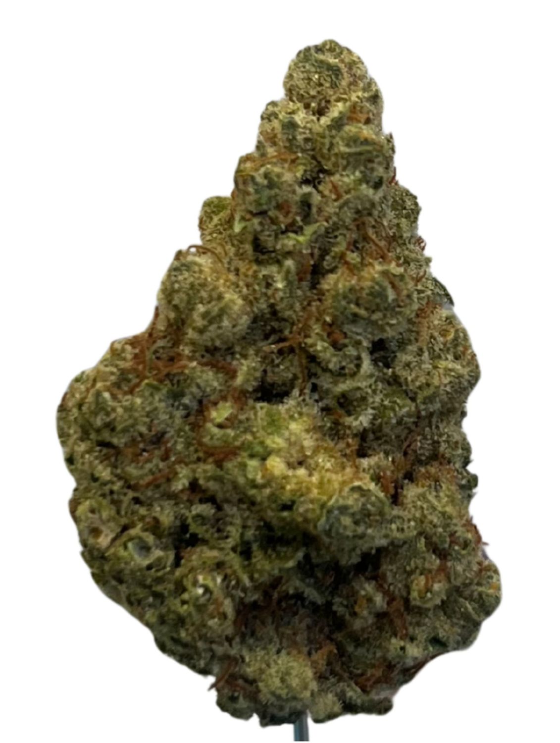 Sibanax MCF 23/1 MAC