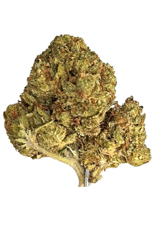 Slouu 20/1 PS3 OG Kush (eine neue Marke von Enua) Slouu 20/1 PS3 OG Kush (eine neue Marke von Enua)