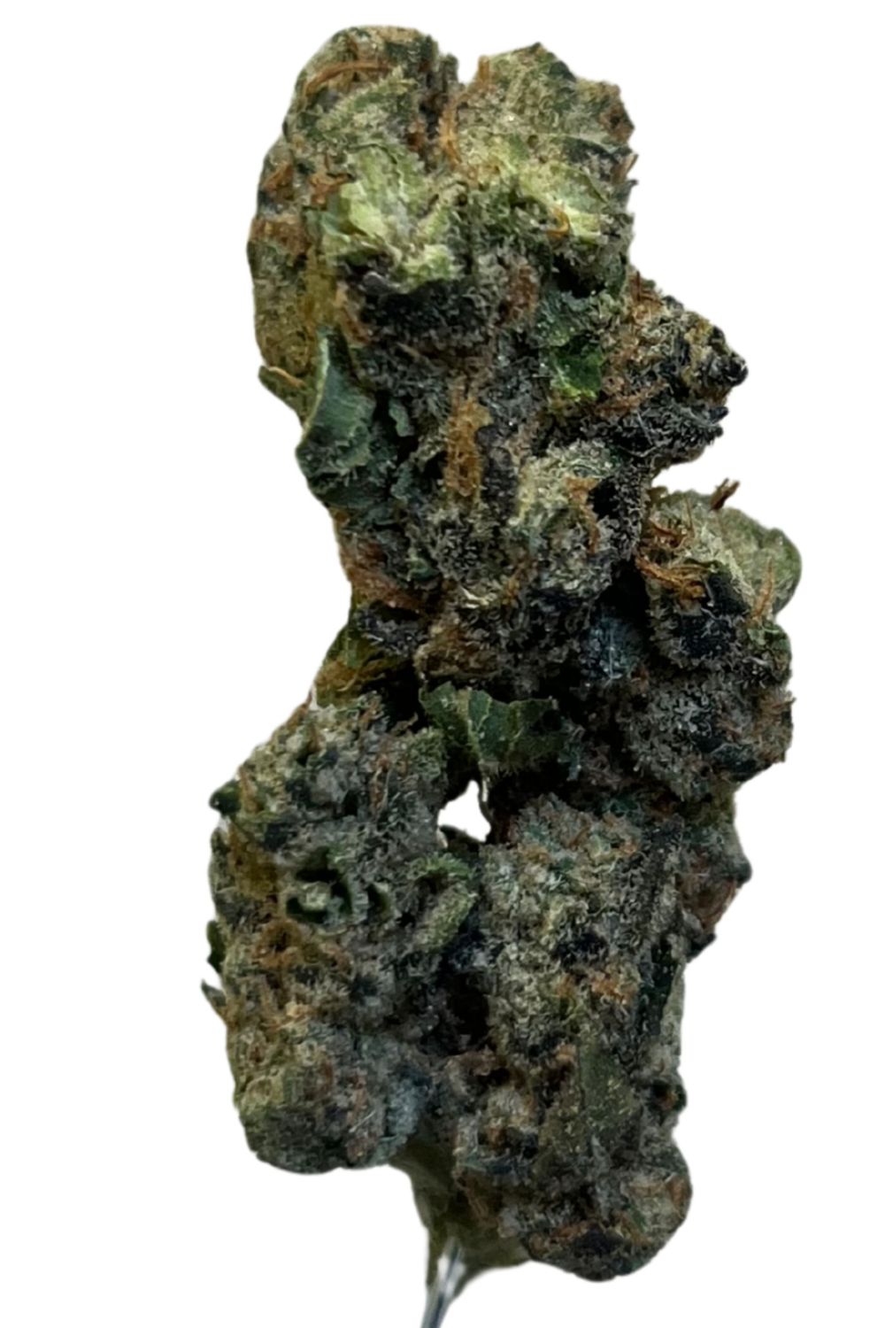 NICE 28/1 GSC Girl Scout Cookies