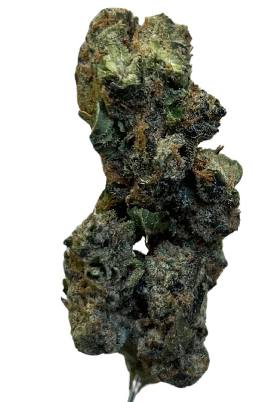 NICE 28/1 GSC Girl Scout Cookies