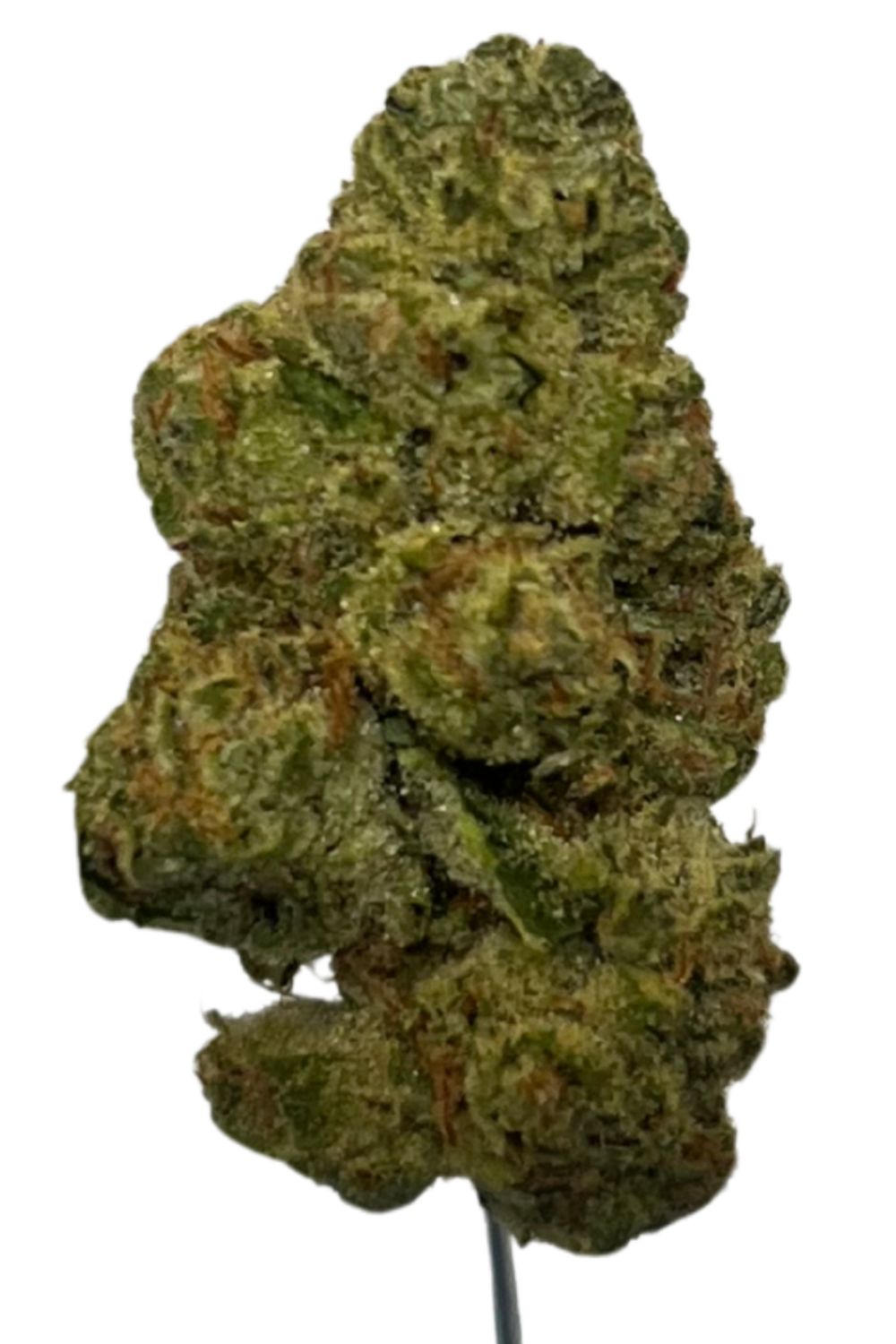 Slouu 30/1 CBC CA Citron Biker Cookies