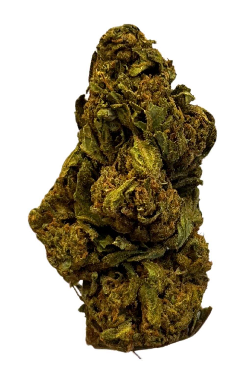 Medical Saints 24/1 GGL Green Glow