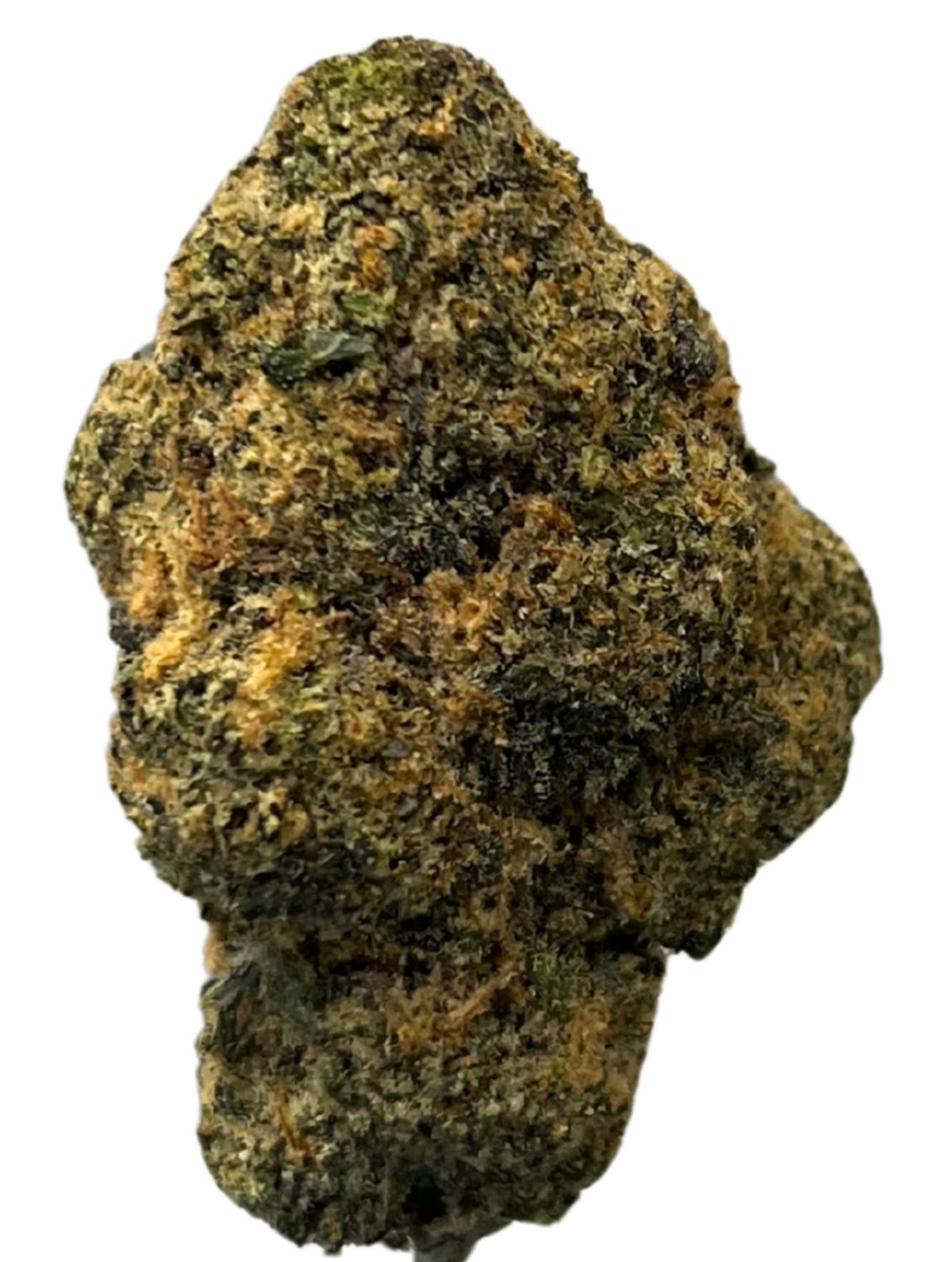 DrWatson 26 LG London Gelatti DrWatson 26 LG London Gelatti