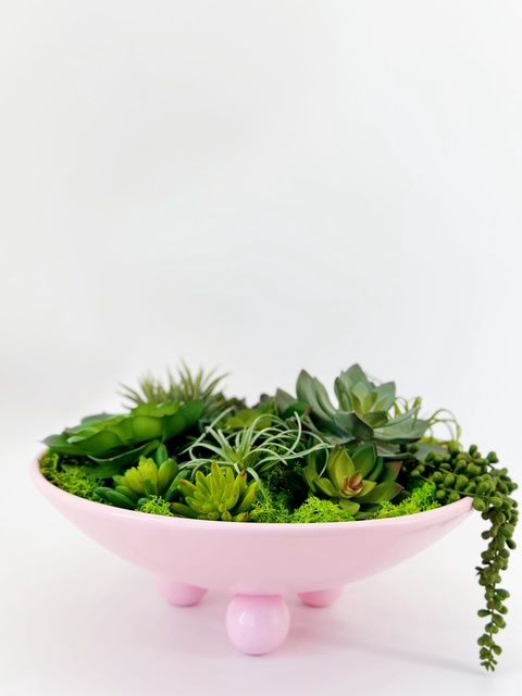 Succulent Sundae