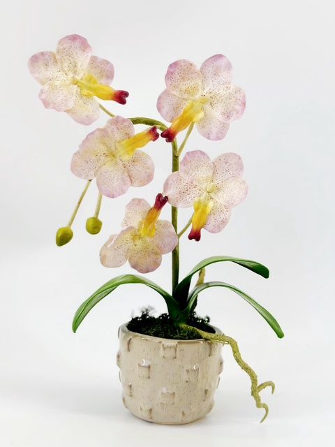 Violet Viel