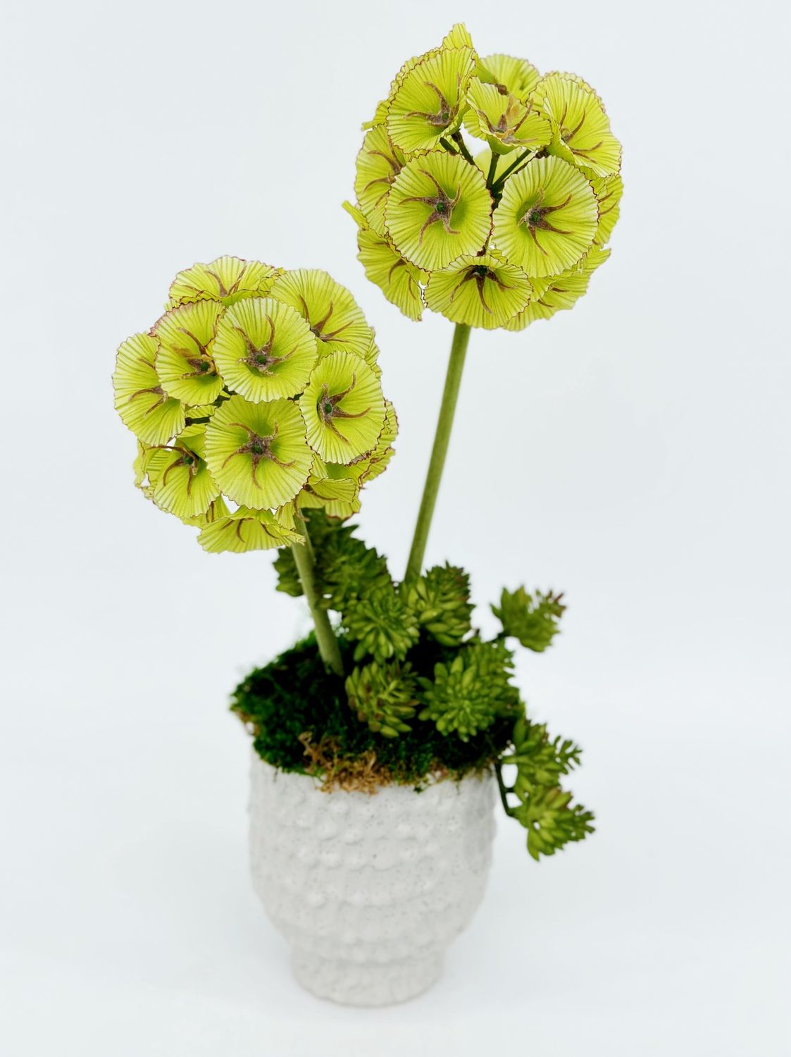 Botanical Beauties, Style: A