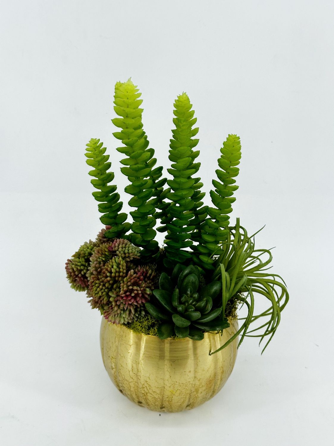 Sweet Succulents, Style: A
