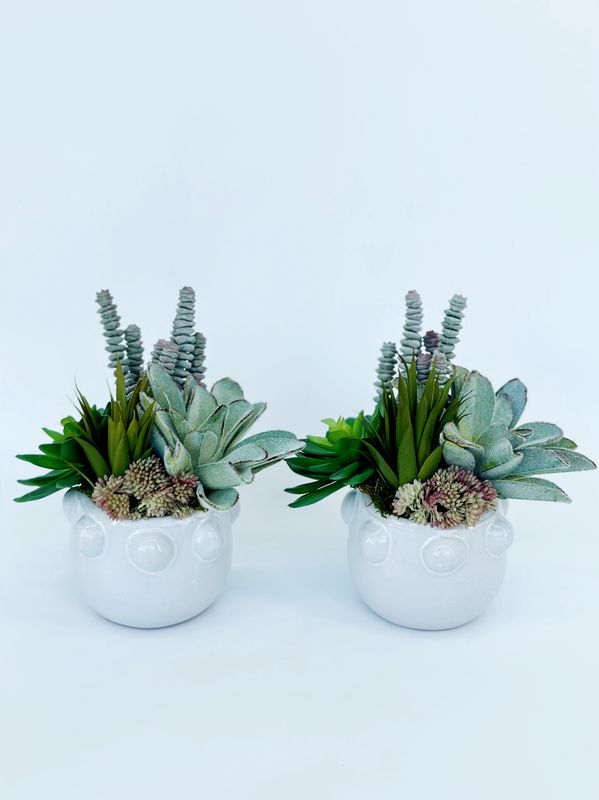 Simply Succulents