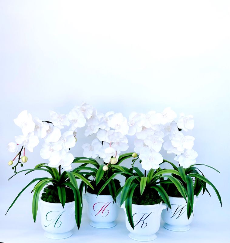 Initial Pot Orchids