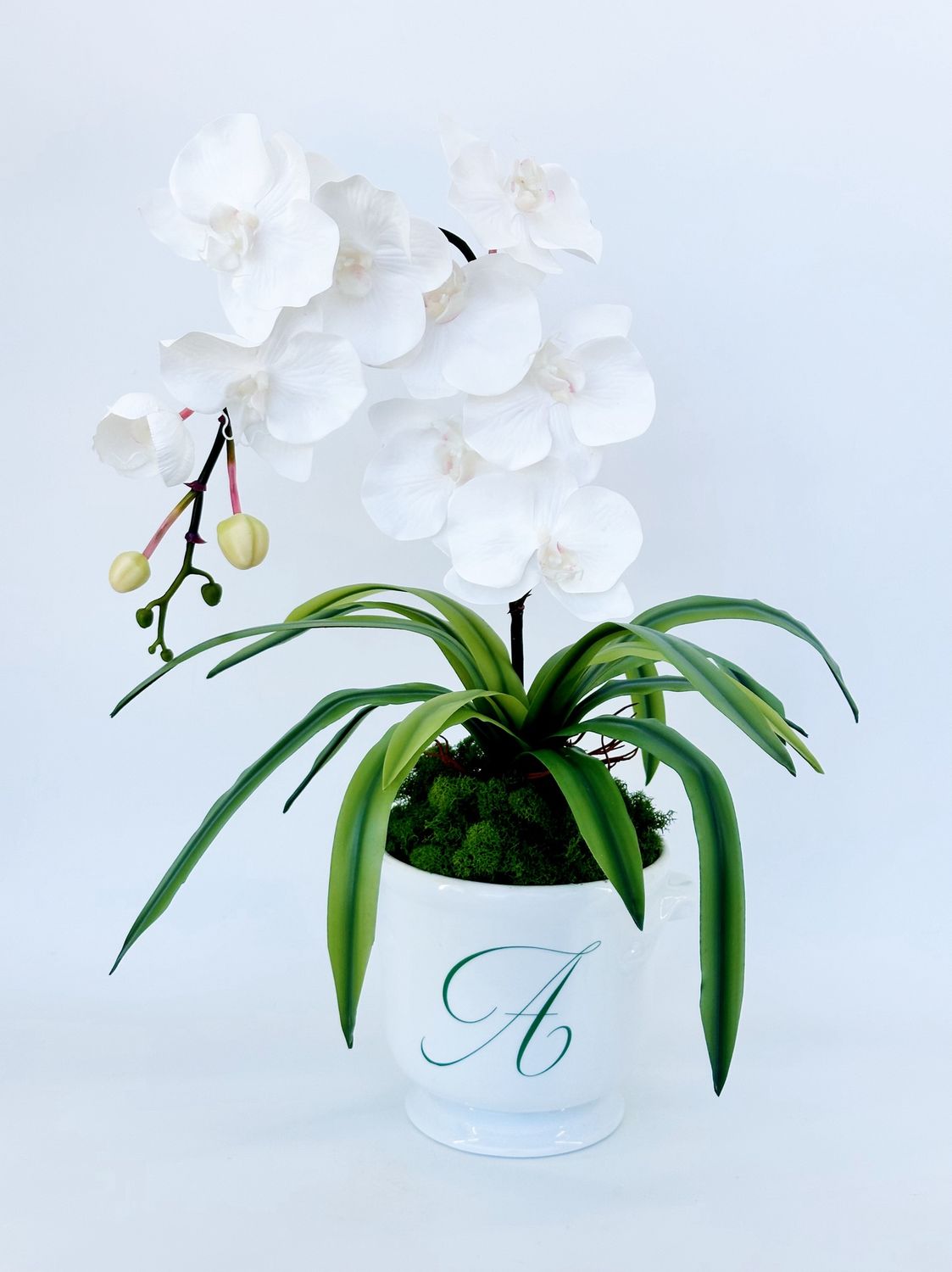 Initial Pot Orchids, Initial: A