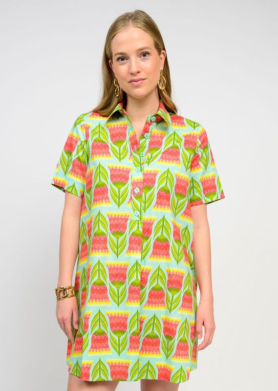 Sue Swing Shirt Dress
