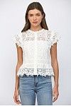 Ashlin Blouse
