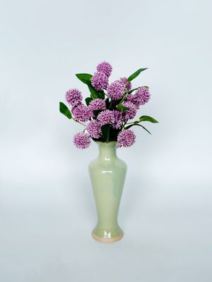 Blooms